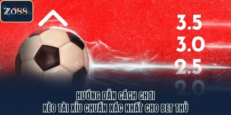 Hướng Dẫn Cách Chơi Kèo Tài Xỉu Chuẩn Xác Nhất Cho Bet Thủ