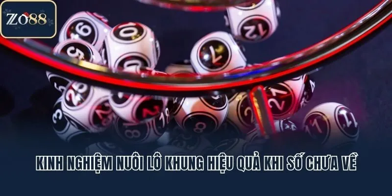 Kinh nghiệm nuôi lô khung hiệu quả khi số chưa về