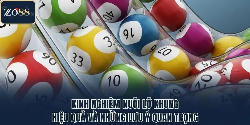 Kinh Nghiệm Nuôi Lô Khung Hiệu Quả Từ Cao Thủ Hàng Đầu